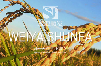 熱烈祝賀江蘇順發(fā)米業(yè)有限公司網站全新上線?。。? /></A>    
     <div   id=